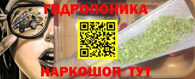 прущие грибы Беслан